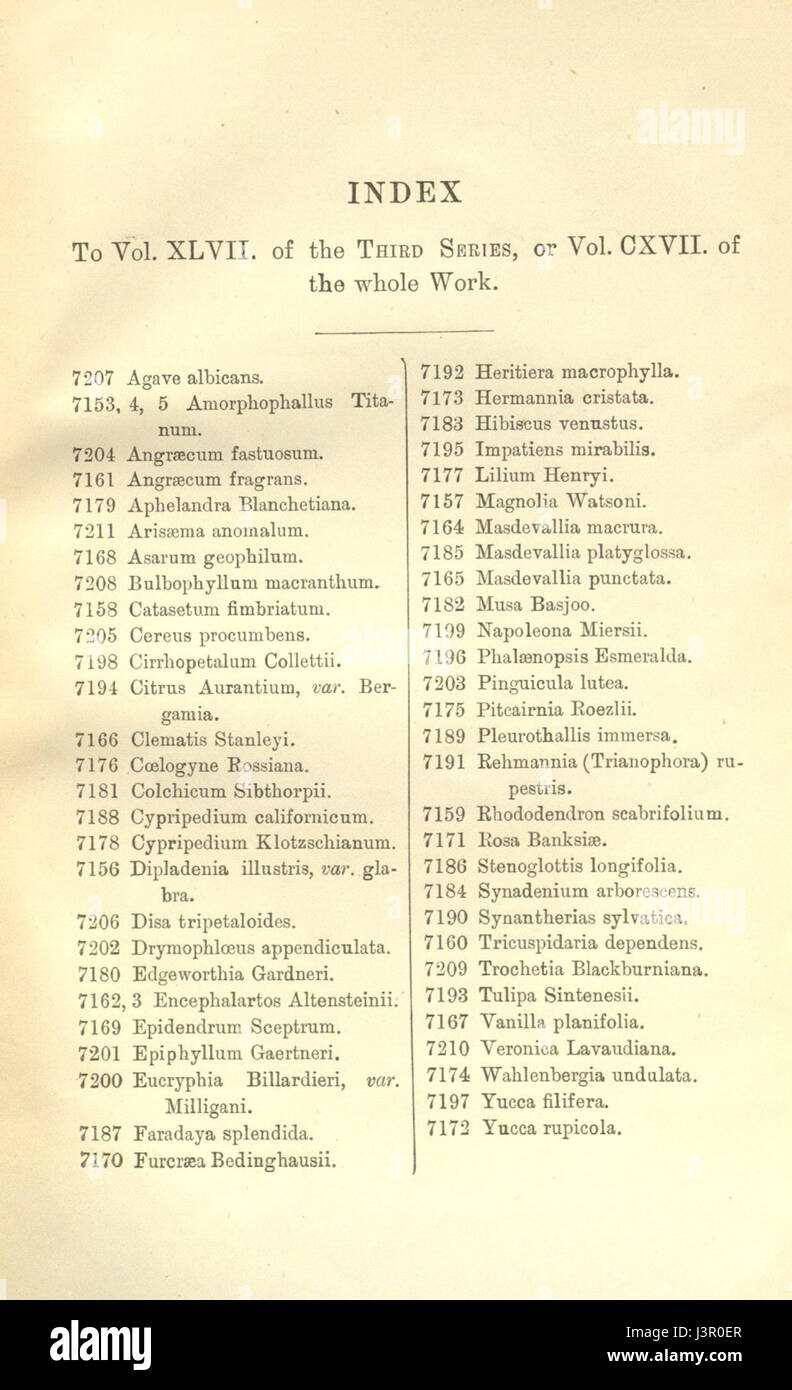 Index   Curtis' 117 (Ser. 3 no. 47) (1891) Stock Photo