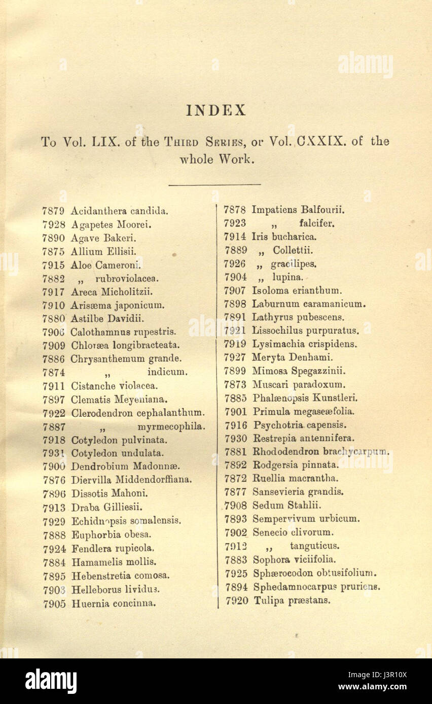 Index   Curtis' 129 (Ser. 3 no. 59) (1903) Stock Photo