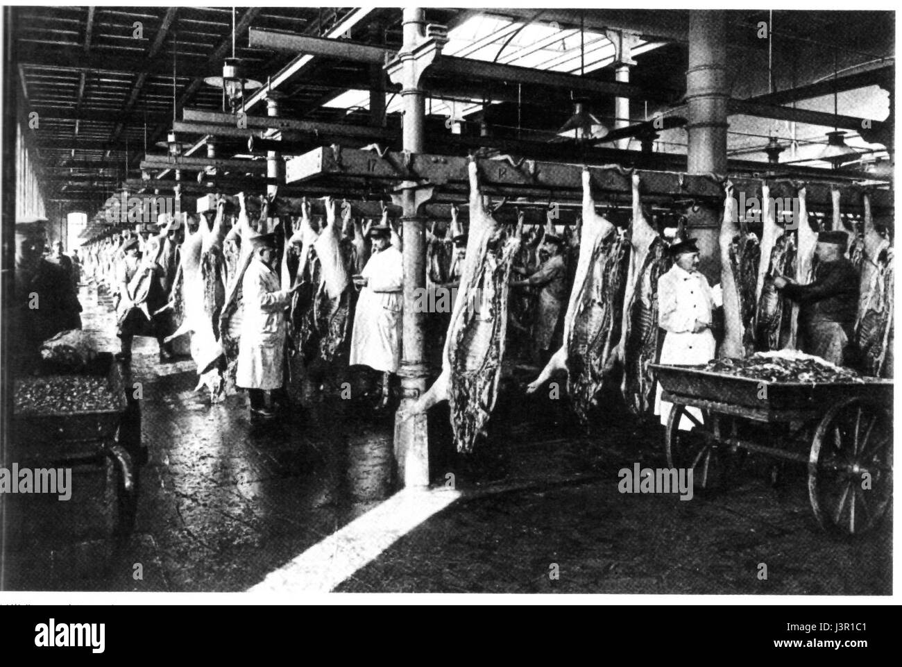 Inspektion Schlachterei der Produktion Hamburg Hamm 1916 Stock Photo