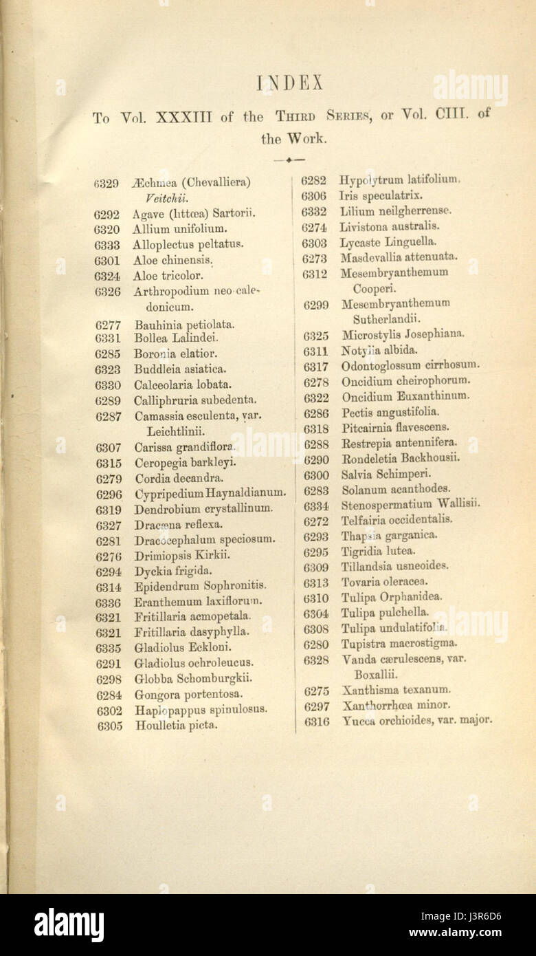Index   Curtis' 103 (Ser. 3 no. 33) (1877) Stock Photo