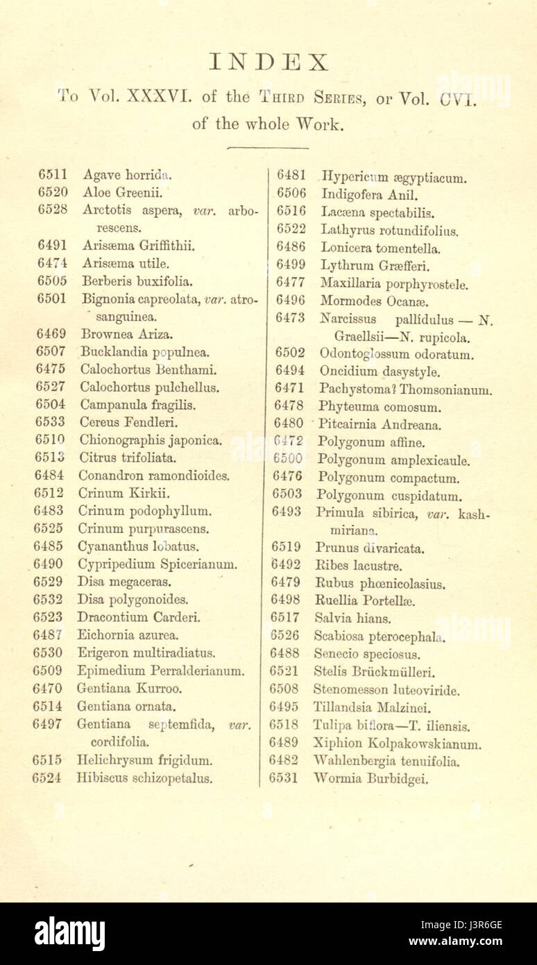 Index   Curtis' 106 (Ser. 3 no. 36) (1880) Stock Photo