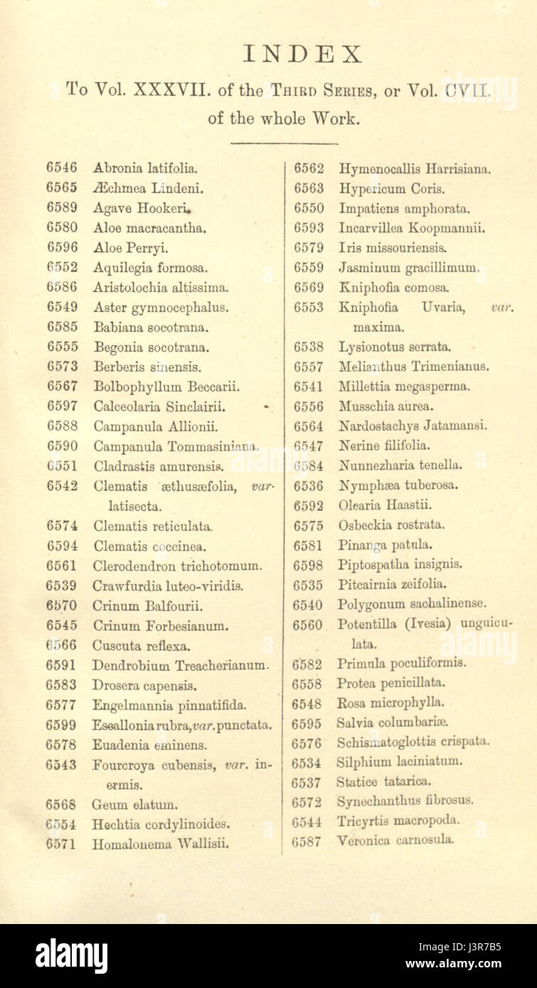 Index   Curtis' 107 (Ser. 3 no. 37) (1881) Stock Photo