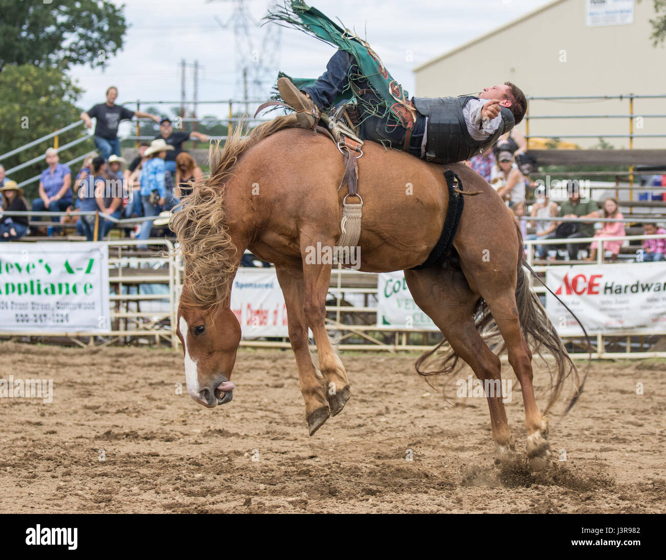 Real Rodeo Rodeo action in Cottonwood, California Stock Photo - Alamy