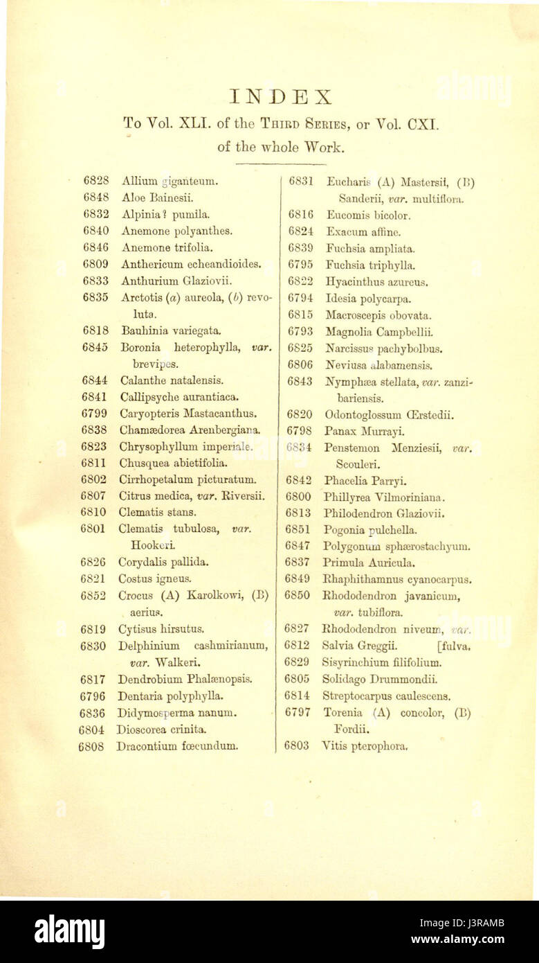 Index   Curtis' 111 (Ser. 3 no. 41) (1885) Stock Photo
