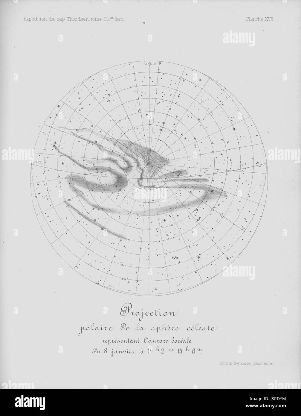 Ipy Thordsen2 is the name associated with a detailed illustration from ...