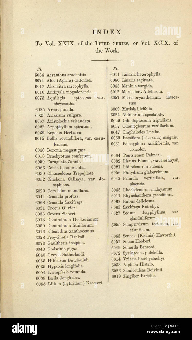 Index   Curtis' 99 (Ser. 3 no. 29) (1873) Stock Photo