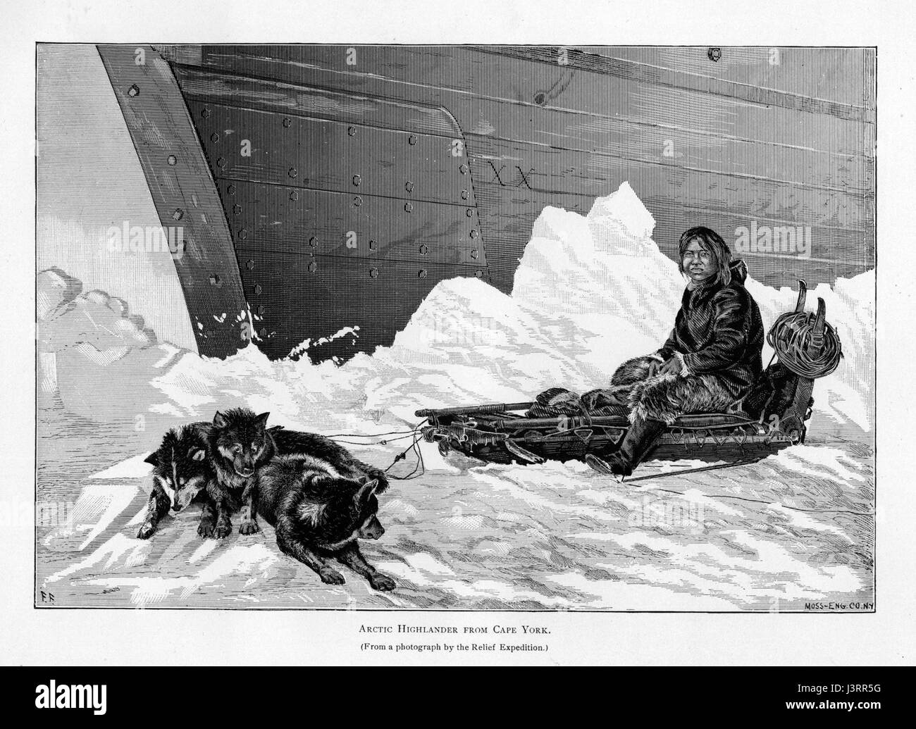 Ipy conger1 figure 32 Stock Photo - Alamy