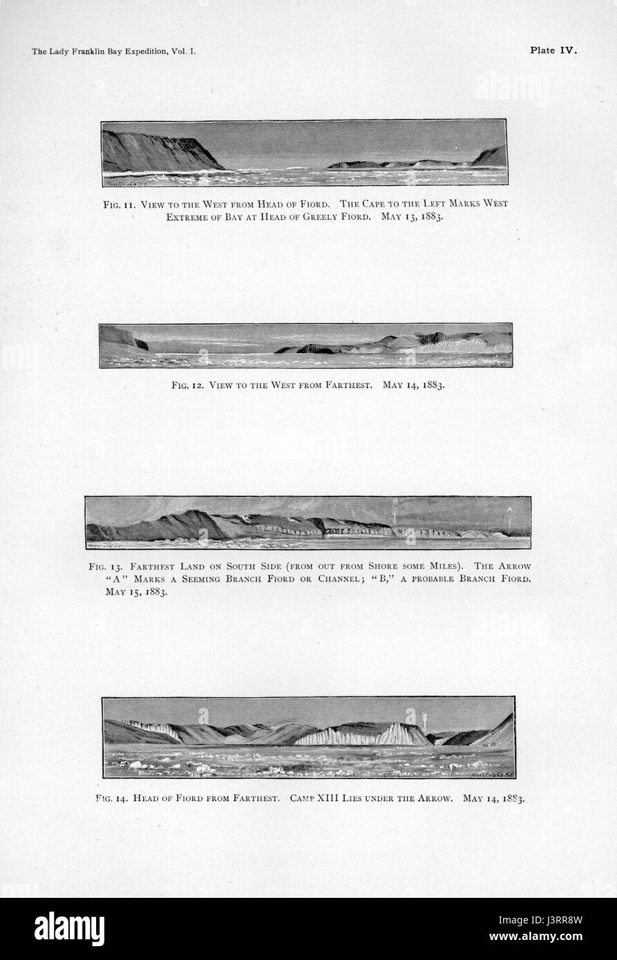 Ipy Conger1 plate IV is a detailed illustration of the Ipy Conger fish ...