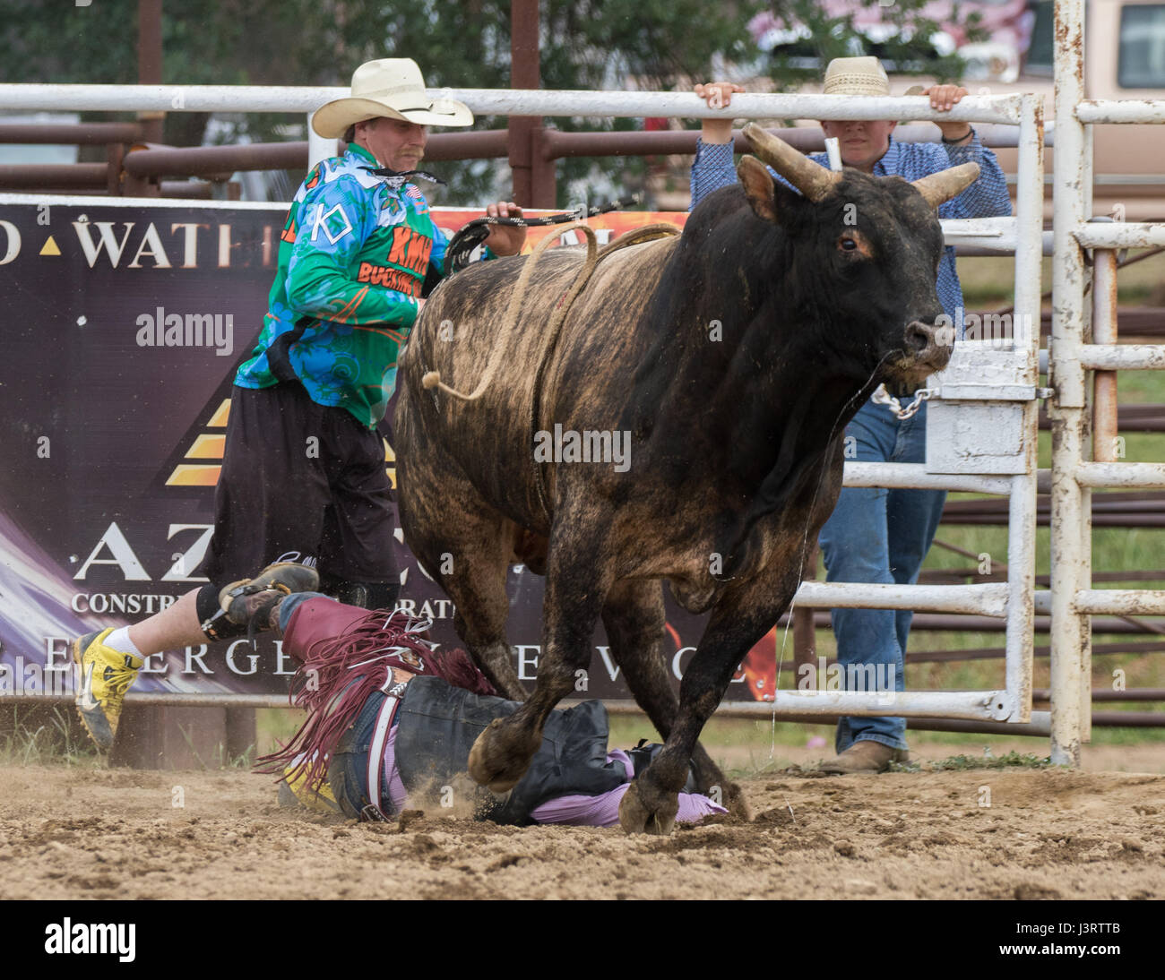 Real Rodeo Rodeo action in Cottonwood, California Stock Photo - Alamy