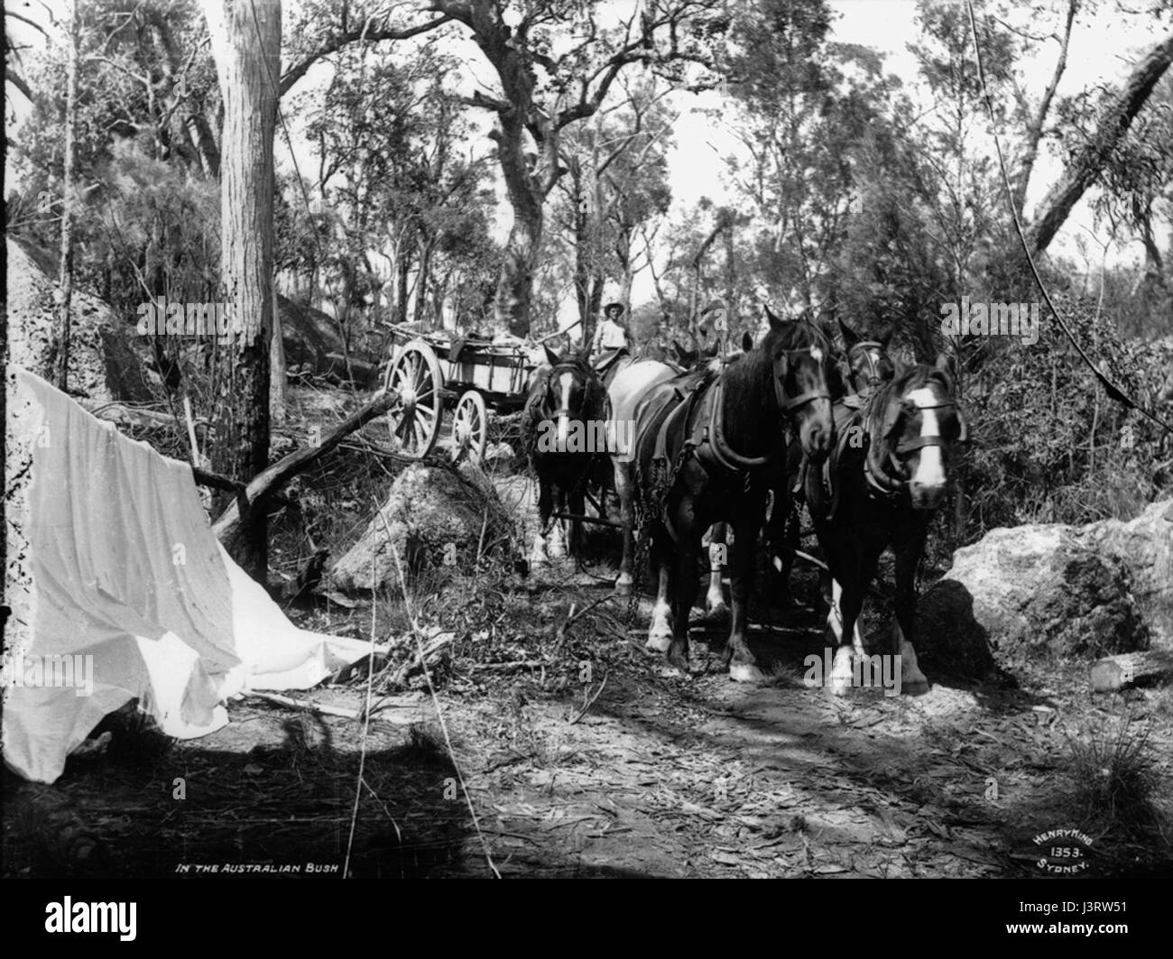 Australian native art work Black and White Stock Photos & Images - Alamy