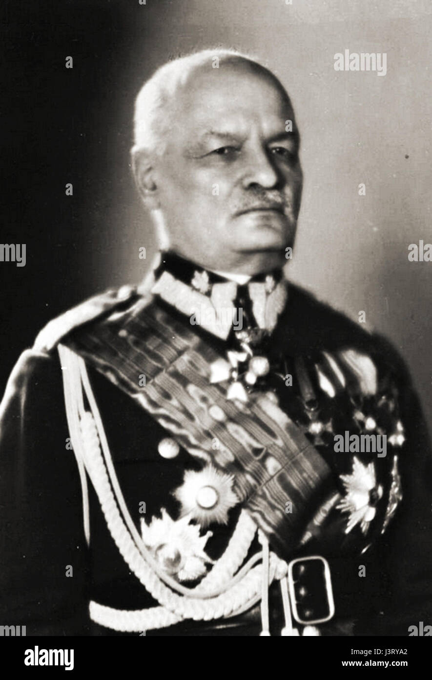 Jan Romer was a renowned figure, possibly in the fields of science ...