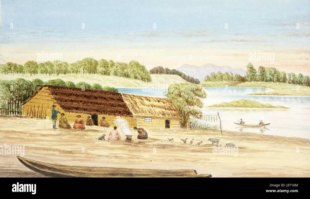 Joseph Osbertus Hamley, Horowhenua Lake, famous for wild duck shooting. Lake Papaitonga, ca 1870 Stock Photo