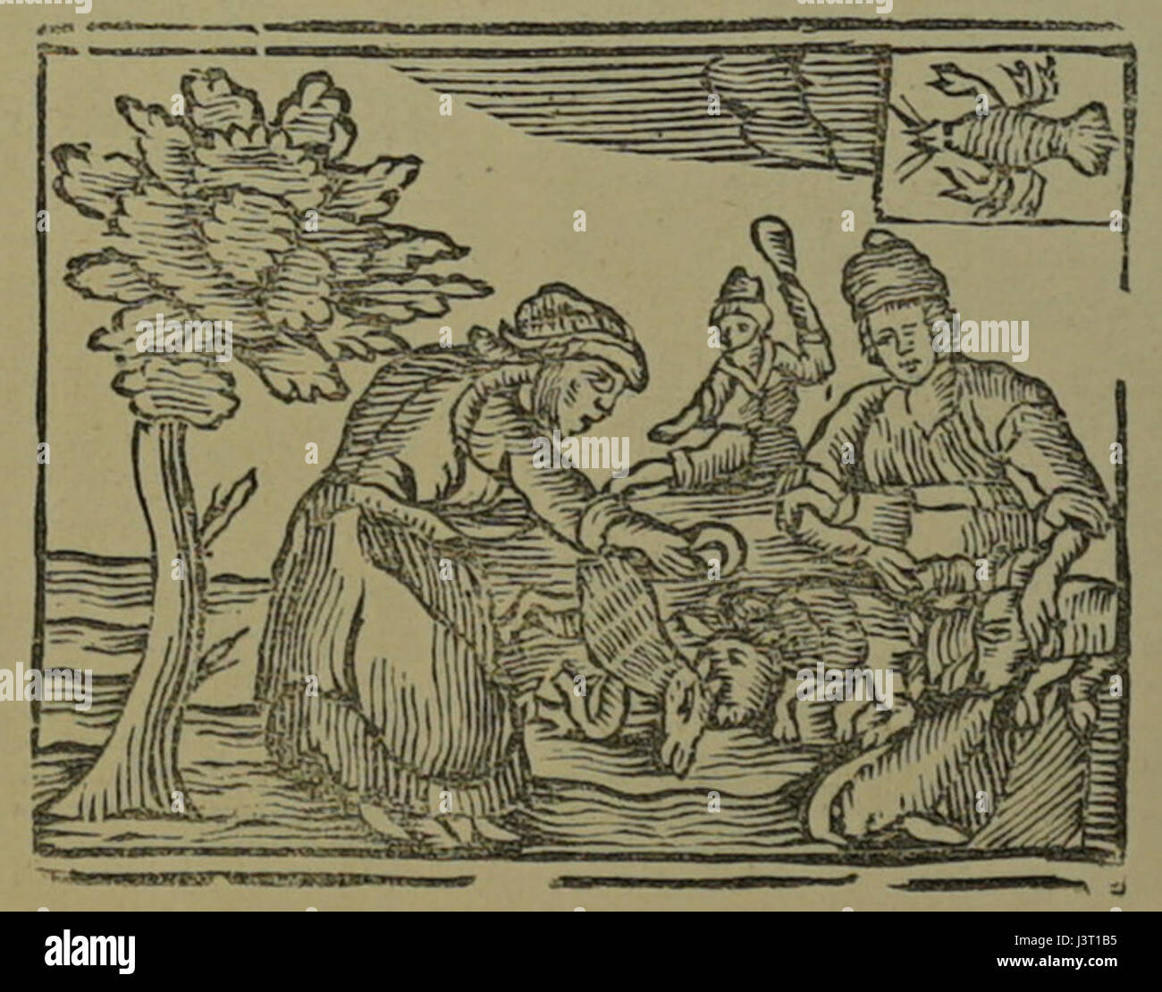 Juin b almanach 10303 Stock Photo