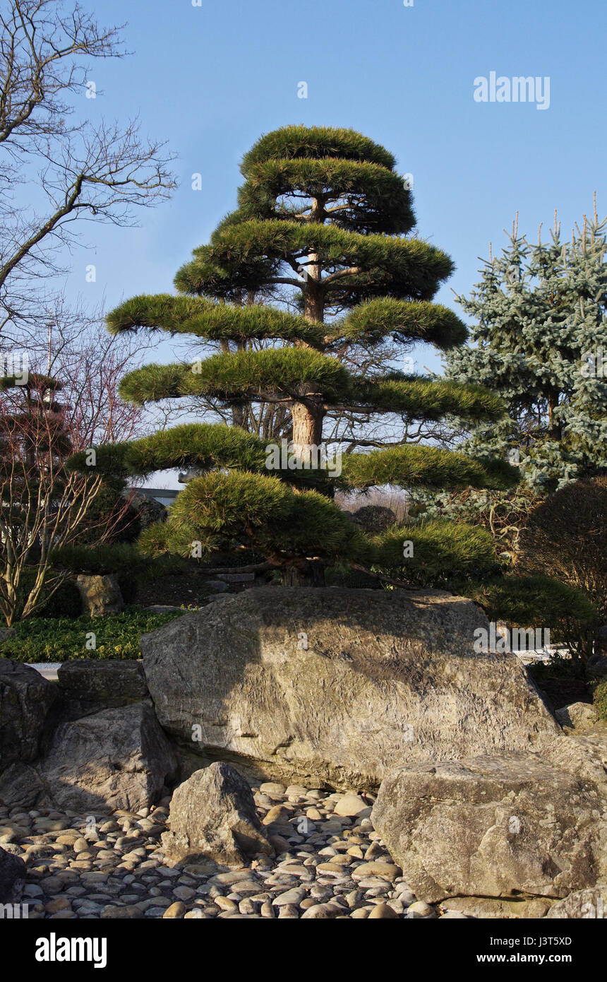 Japanischer Garten Freiburg Im Breisgau 4995 Stock Photo