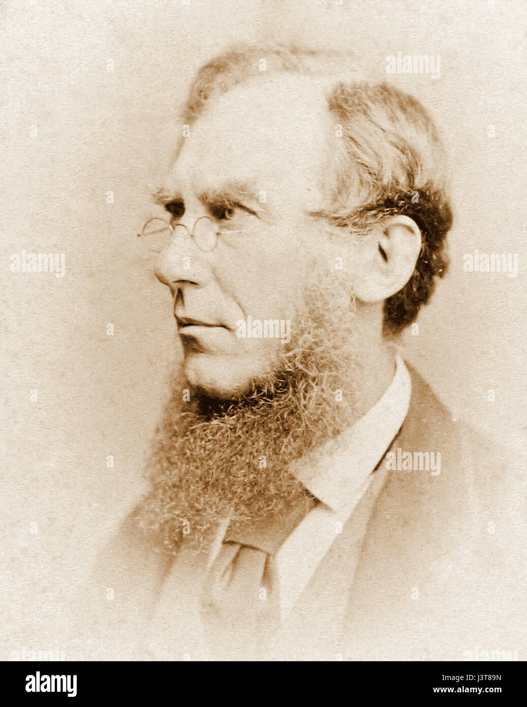 Joseph Dalton Hooker profile Stock Photo