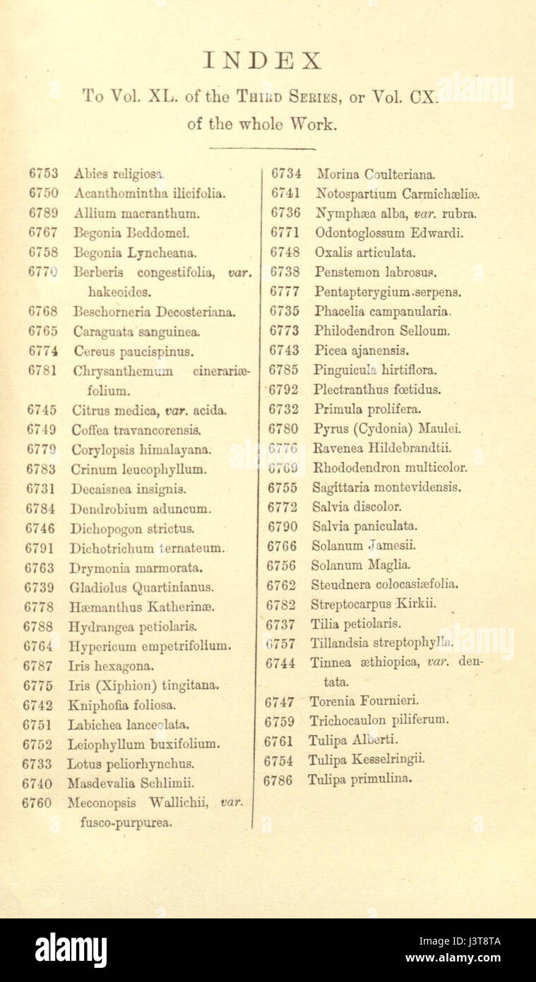Index   Curtis' 110 (Ser. 3 no. 40) (1884) Stock Photo