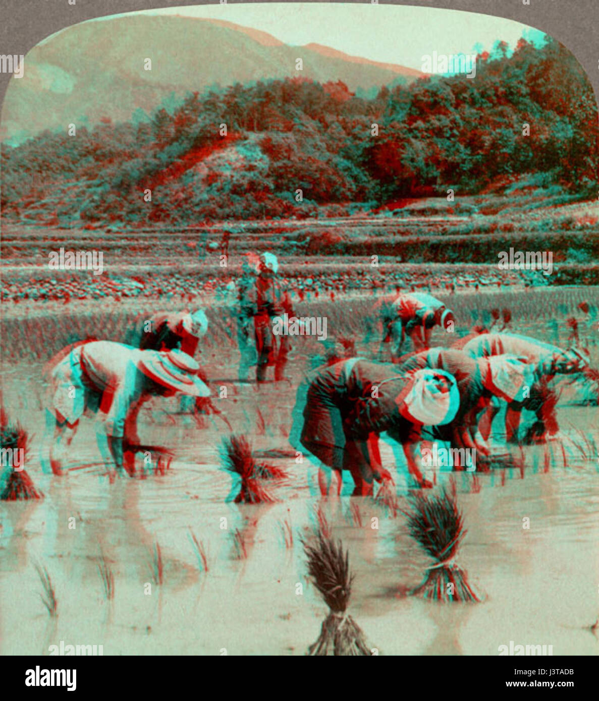 Jinsiy aloqa uchun beshinchi element Irina Pegova yalangoch jinsiy aloqa