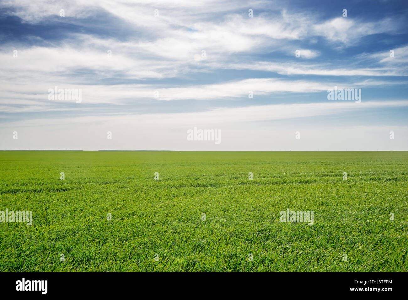 Green field and blue sky Stock Photo - Alamy