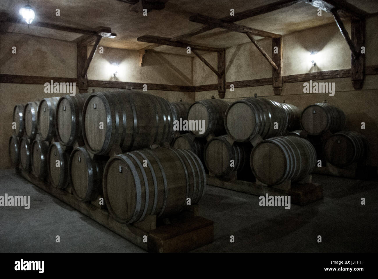 Wooden barrels of aged cognac at cellar of Brandy Factory Noy of