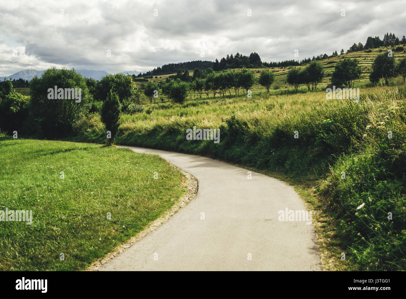 Small rural road in a green summer landscape Stock Photo