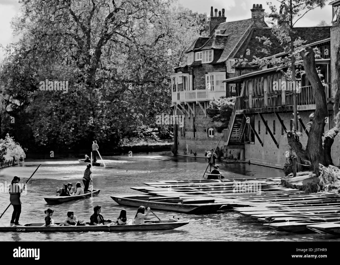 Scene at Scudamore's Mill Lane Punting Station, Mill Lane, Cambridge Stock Photo