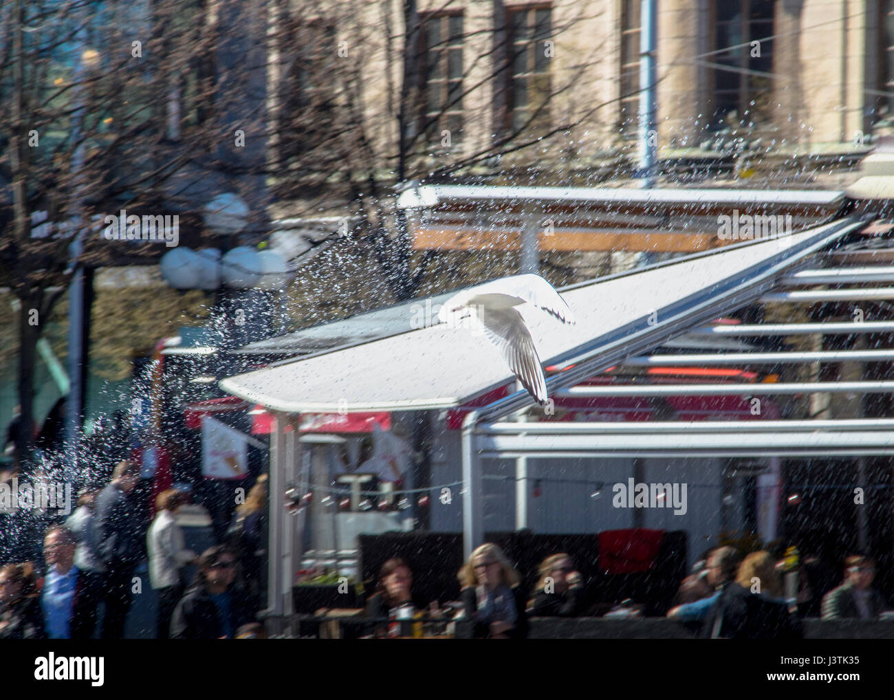 Catapult bow hi-res stock photography and images - Alamy