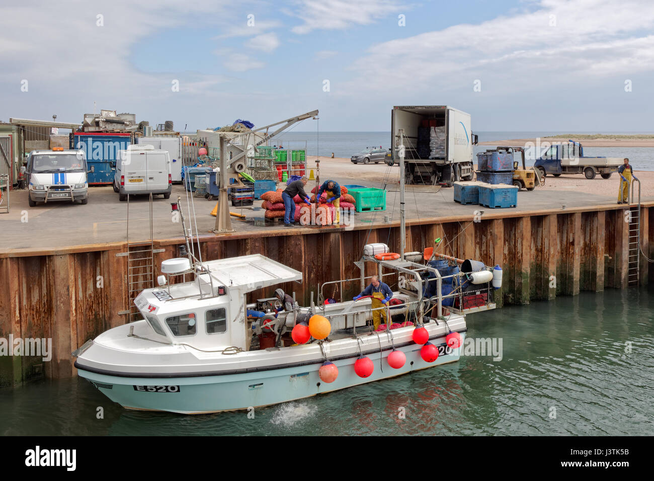 Crew & dockworker unload mussels from the Mia B fishing boat at Exmouth quay Stock Photo