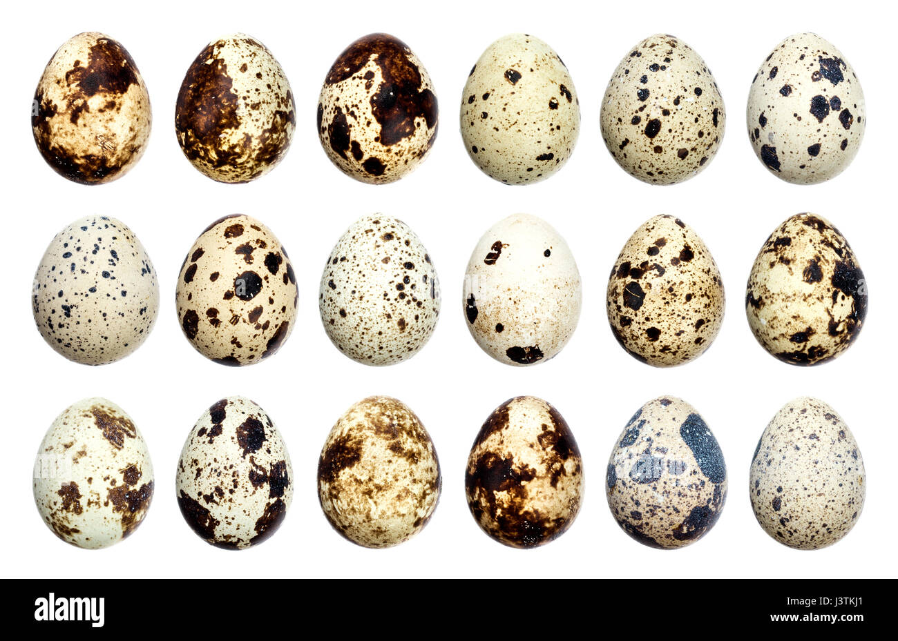 Isolated quail eggs. Stock Photo