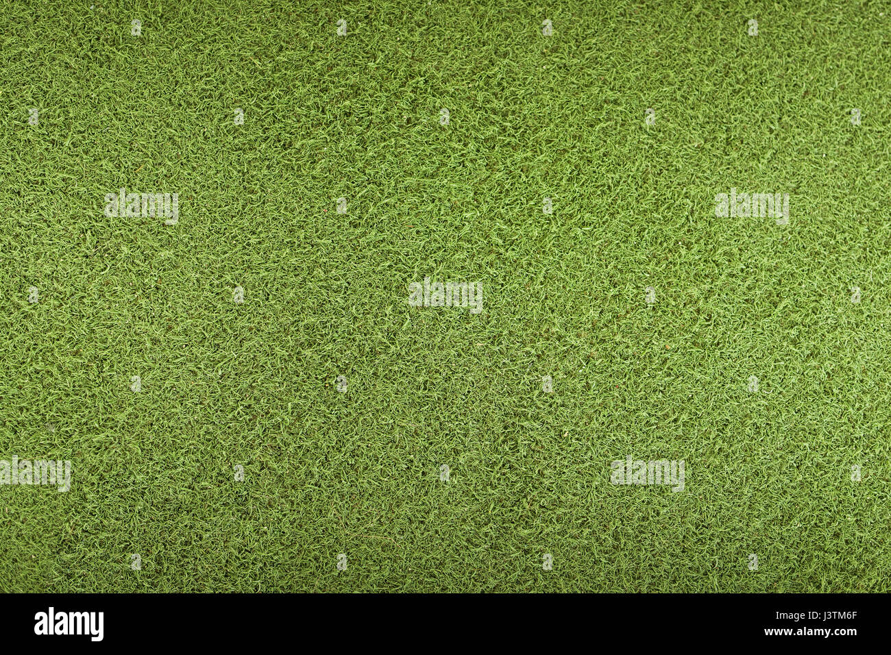 artificial green grass texture Stock Photo