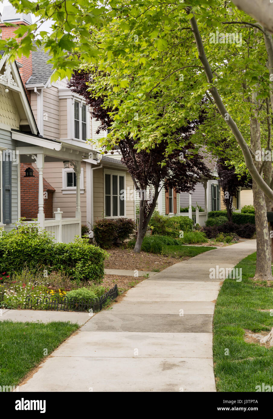 Tree lined street in California residential neighborhood Stock Photo