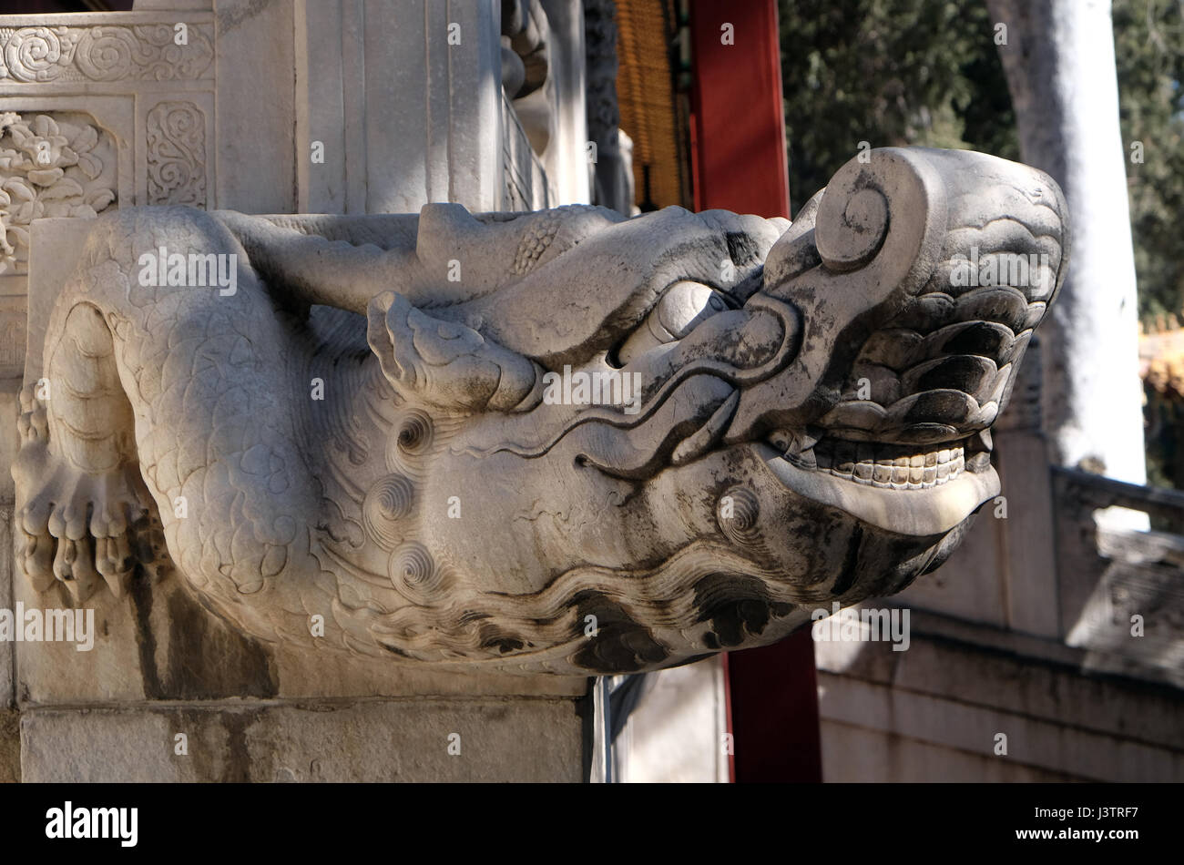 A stone Chinese dragon's head on a wall in Forbidden City, Beijing, China, February 23, 2016. Stock Photo
