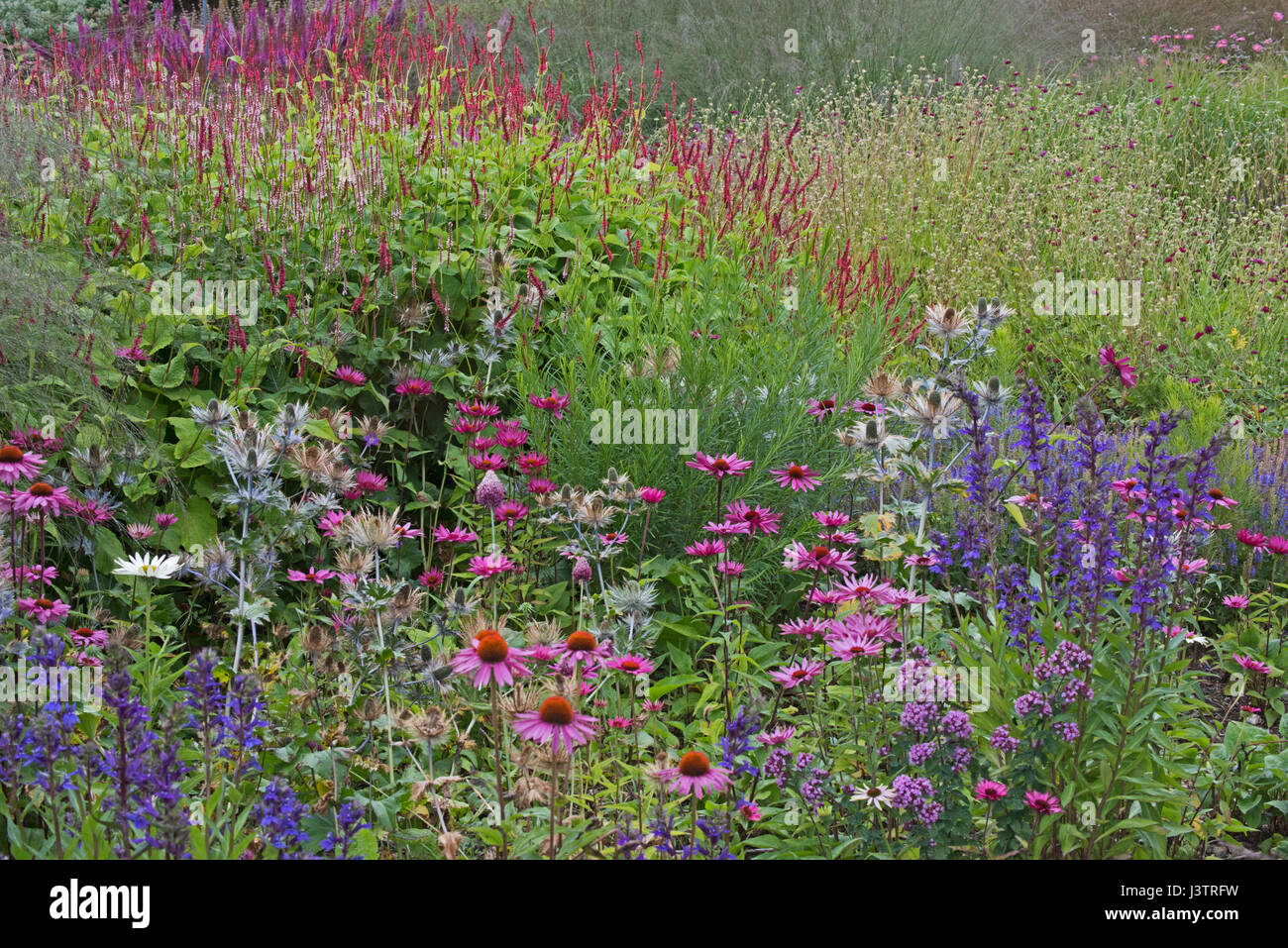 Garden in flowers hi-res stock photography and images - Alamy