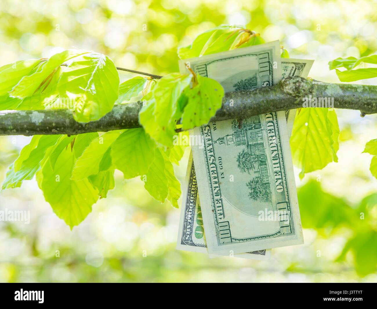 Wishful paper hires stock photography and images Alamy