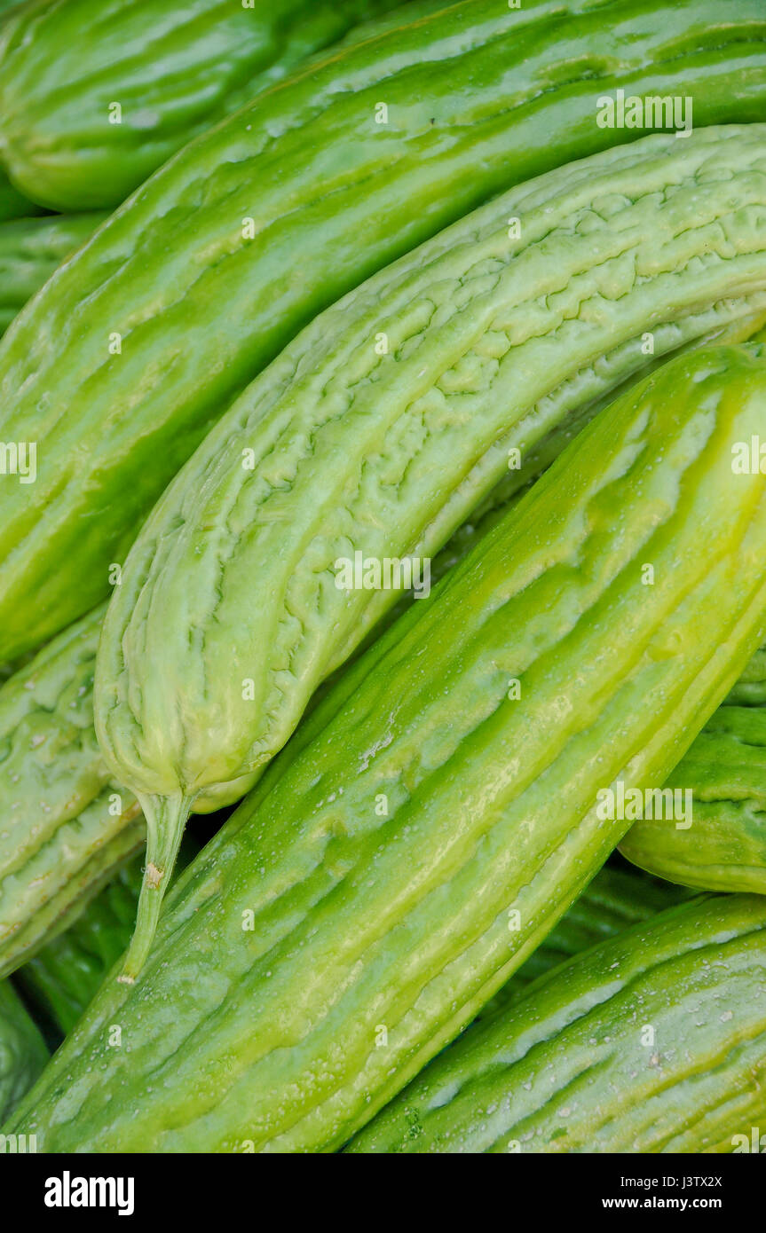 Close-up of Bitter Melon Stock Photo