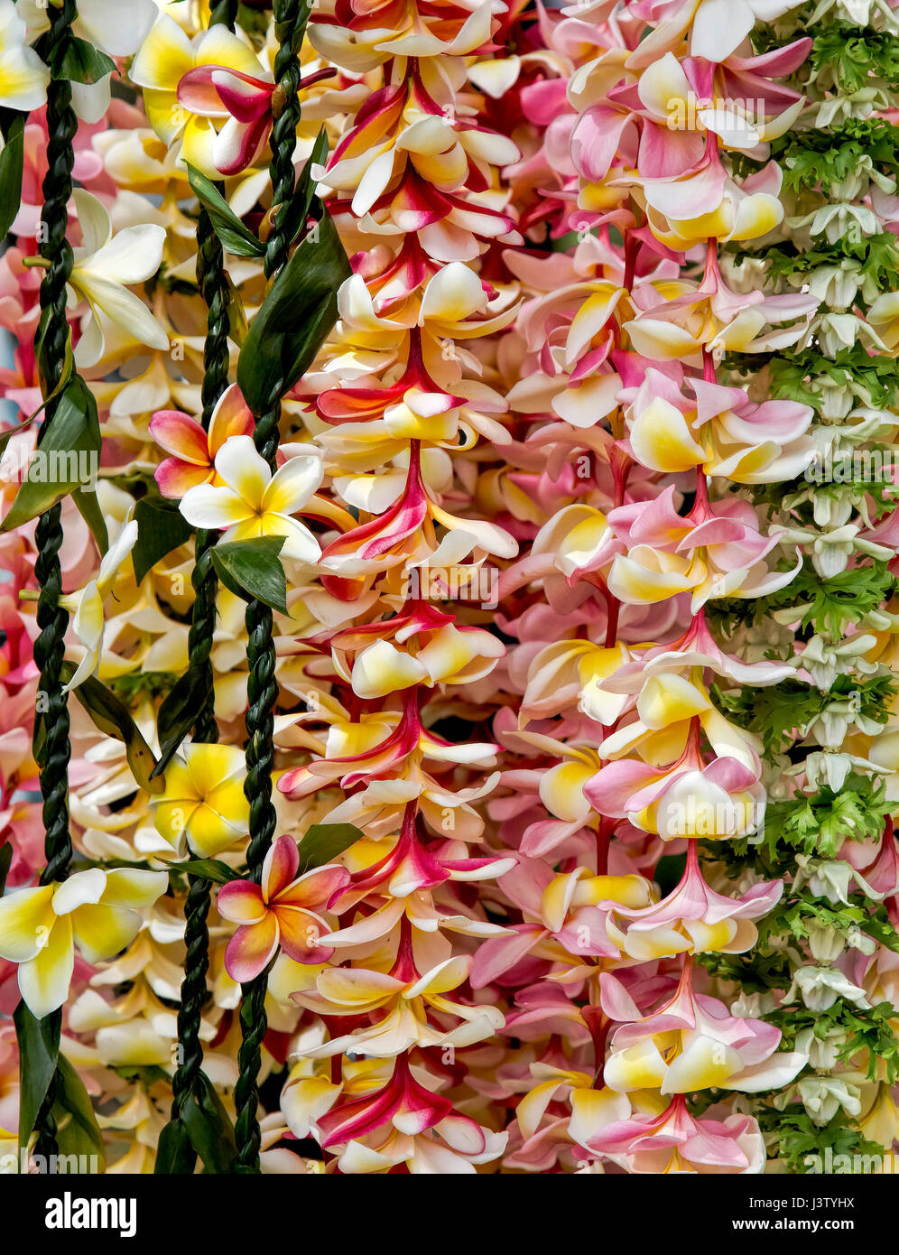Flower leis in Lahaina on Maui Stock Photo Alamy