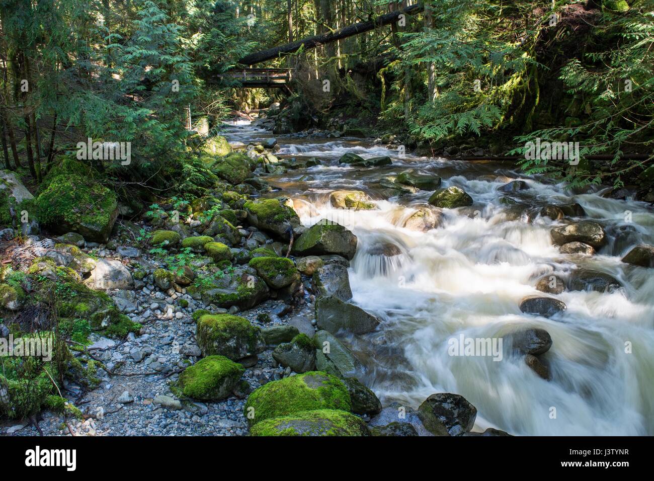 Pacific northwest river flowing hi-res stock photography and images - Alamy