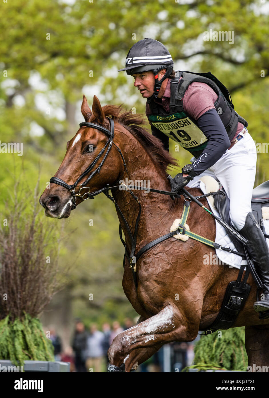New Zealand rider Daniel Jocelyn competing on Dassett Cool Touch at the Badminton Horse Trials 2017 Stock Photo