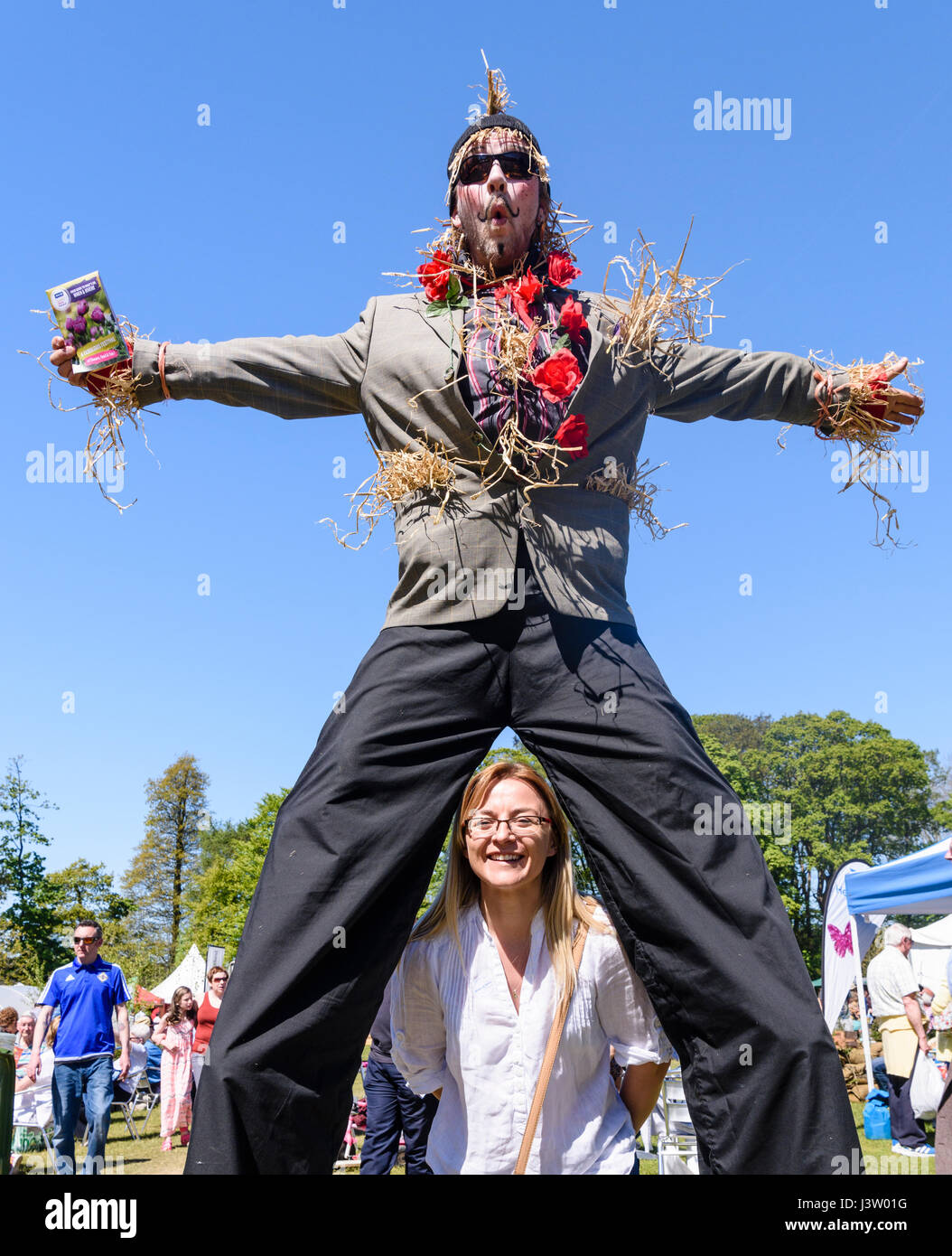 A woman peeks through the legs of a stilt-walking scarecrow. Stock Photo