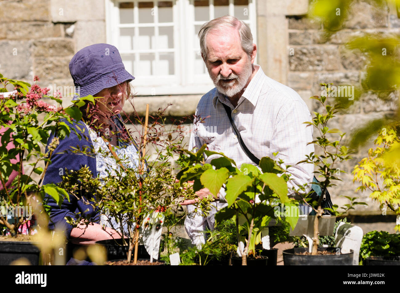 A man and woman look at plants for sale at an outdoor garden show event ...