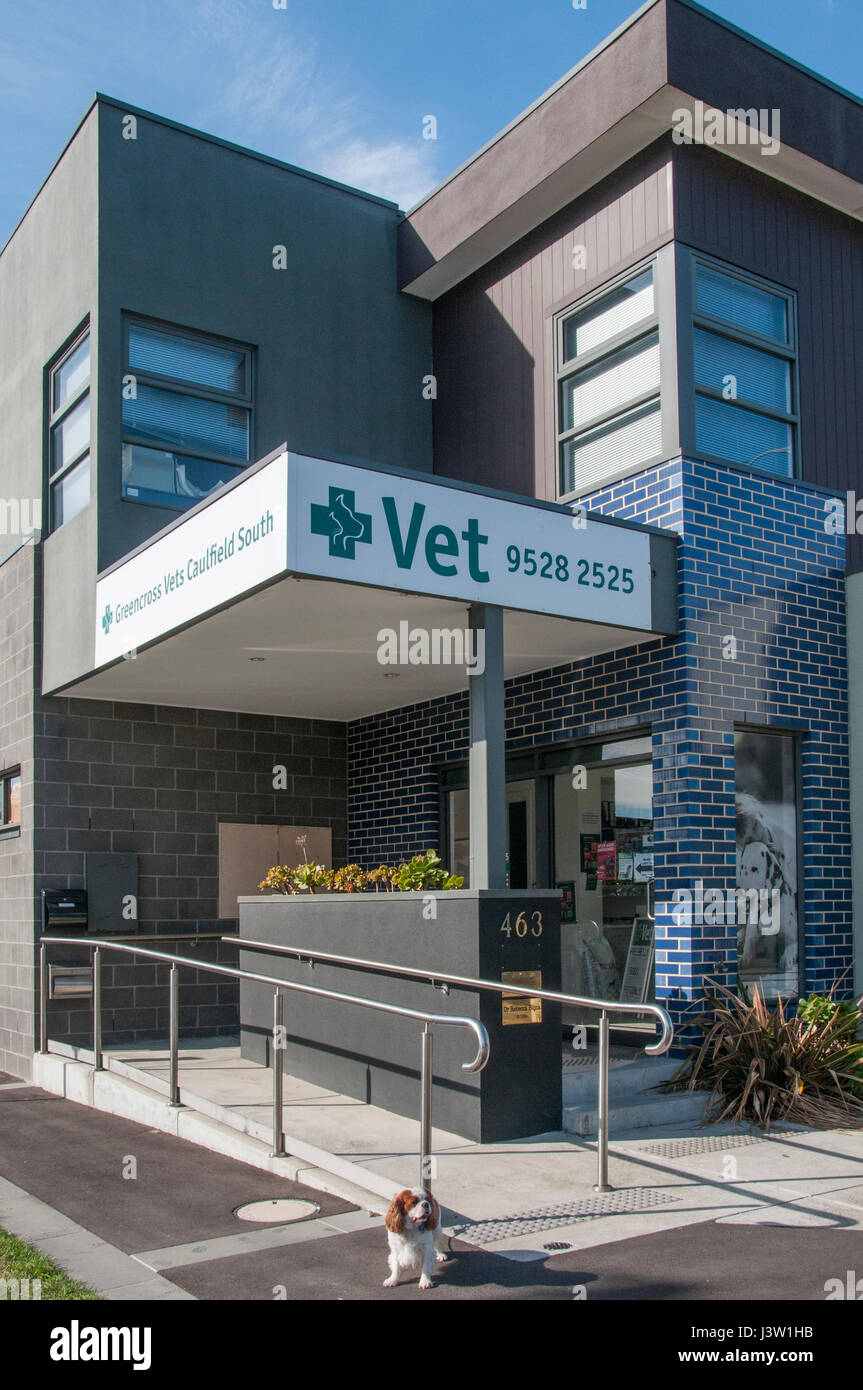 This suburban surgery in Melbourne forms part of the largest chain of veterinary practices across Australia and NZ Stock Photo