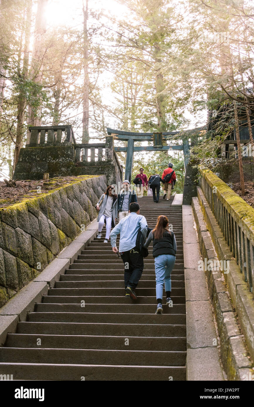 Stone steps and Torii to Ieyasu's tomb  Toshogu Shrine Stock Photo