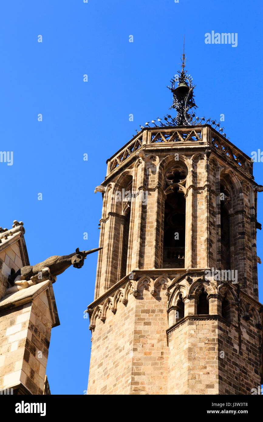 Details from Barcelona's La Catedral, cathedral, Catalunya, Spain. Stock Photo