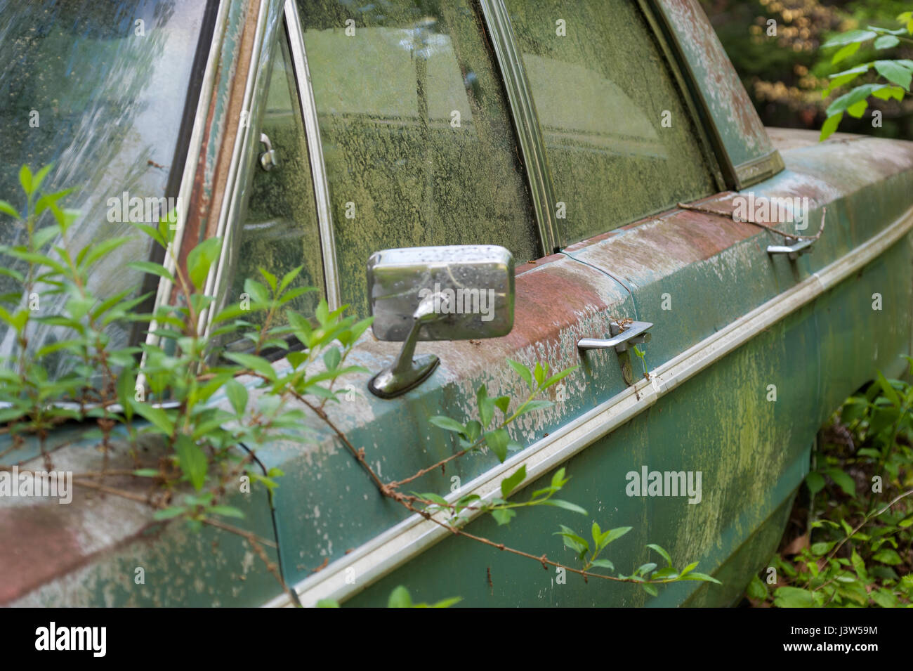 Detail of a rusty green car abandoned by the side of the road Stock ...