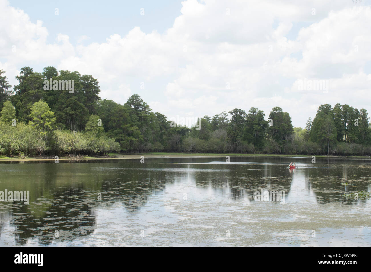 Lettuce Lake Park Stock Photo Alamy
