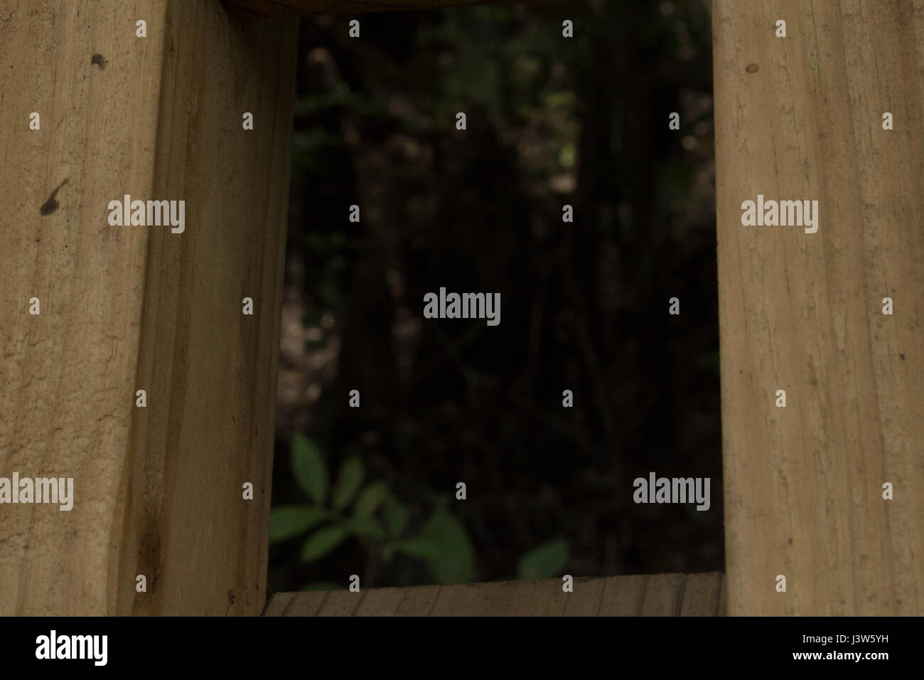 Lettuce Lake Park Stock Photo Alamy