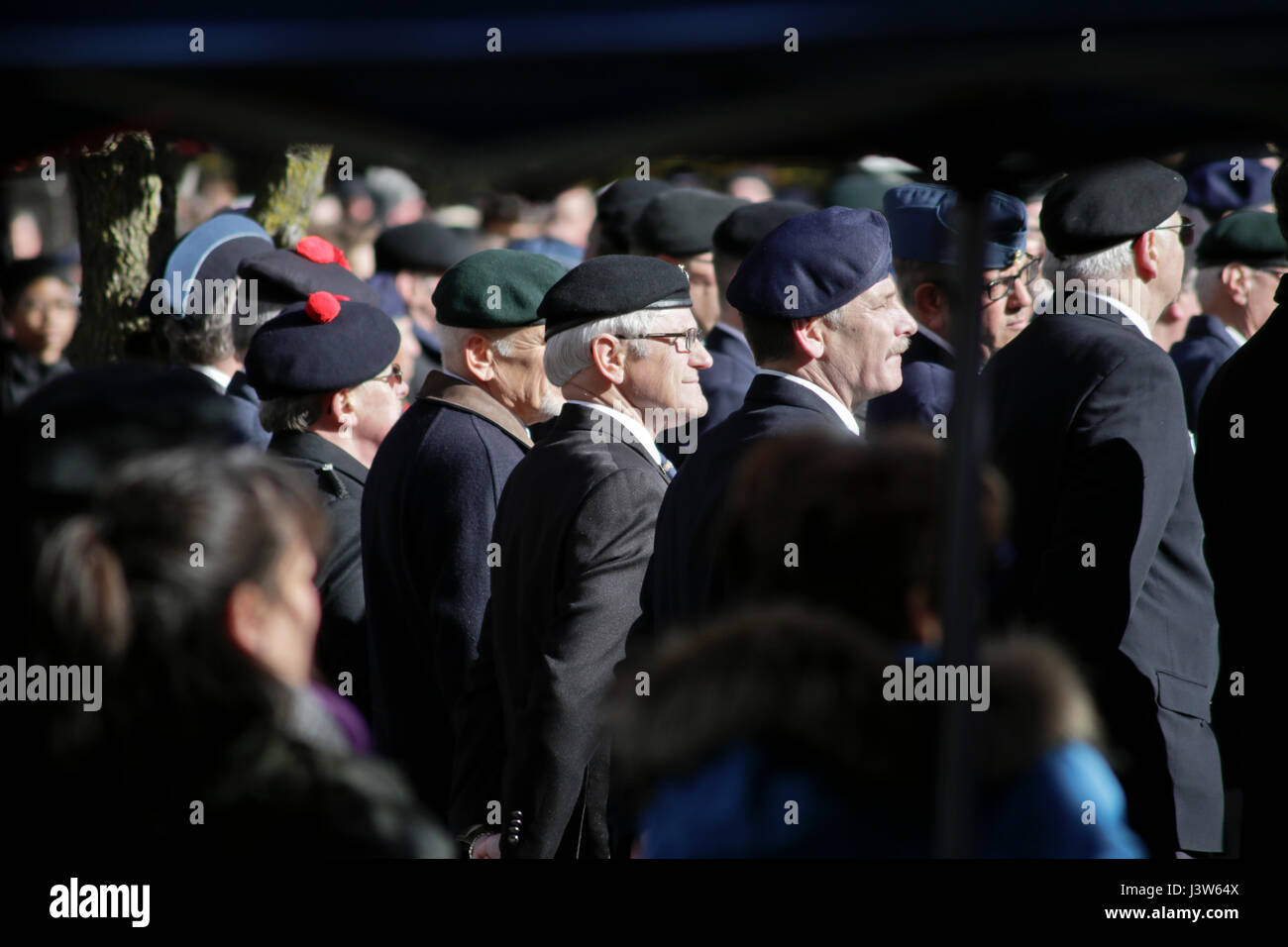 Beret Wearing Canadian Armed Forces Personnel atRemembrance Day Ceremonies, Victoria Park, November 11, 2016, London, Ontario, Canada Stock Photo