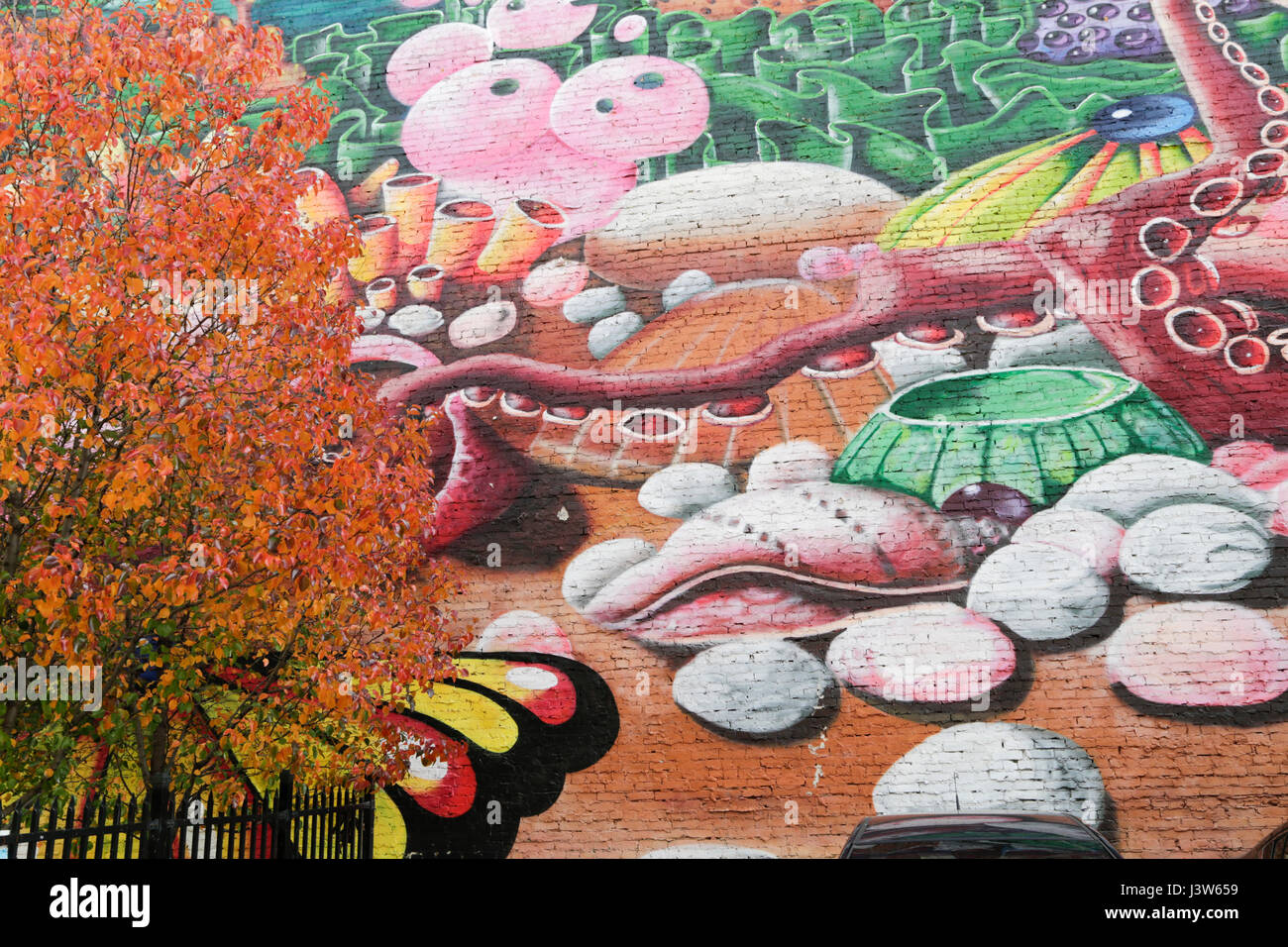 Huge wall mural next to tree with autumn colours, London, Ontario, Canada Stock Photo