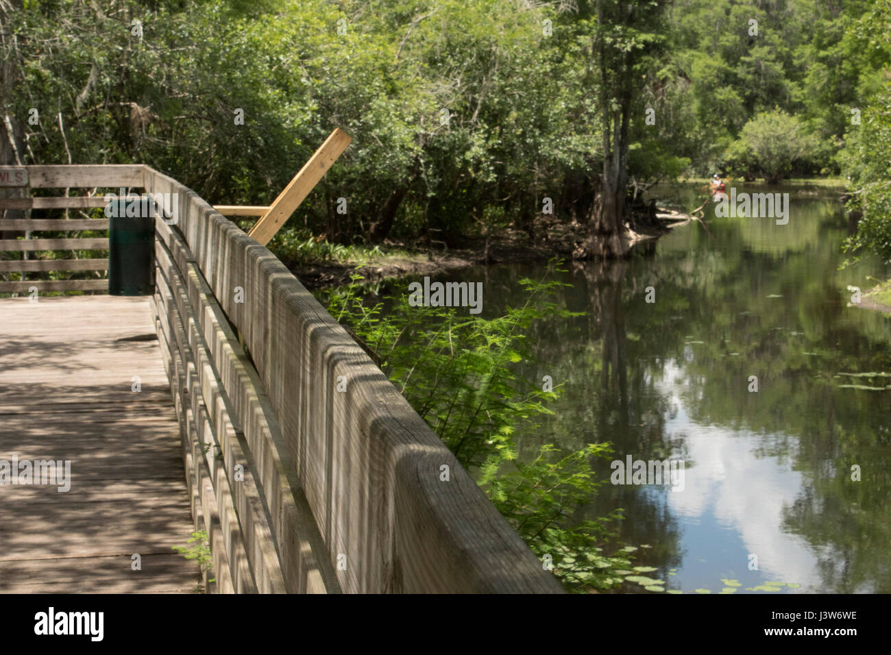 Lettuce Lake Park Stock Photo Alamy