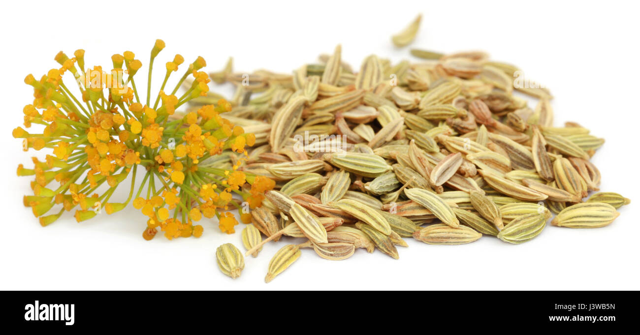 Fennel seeds with flowers over white background Stock Photo