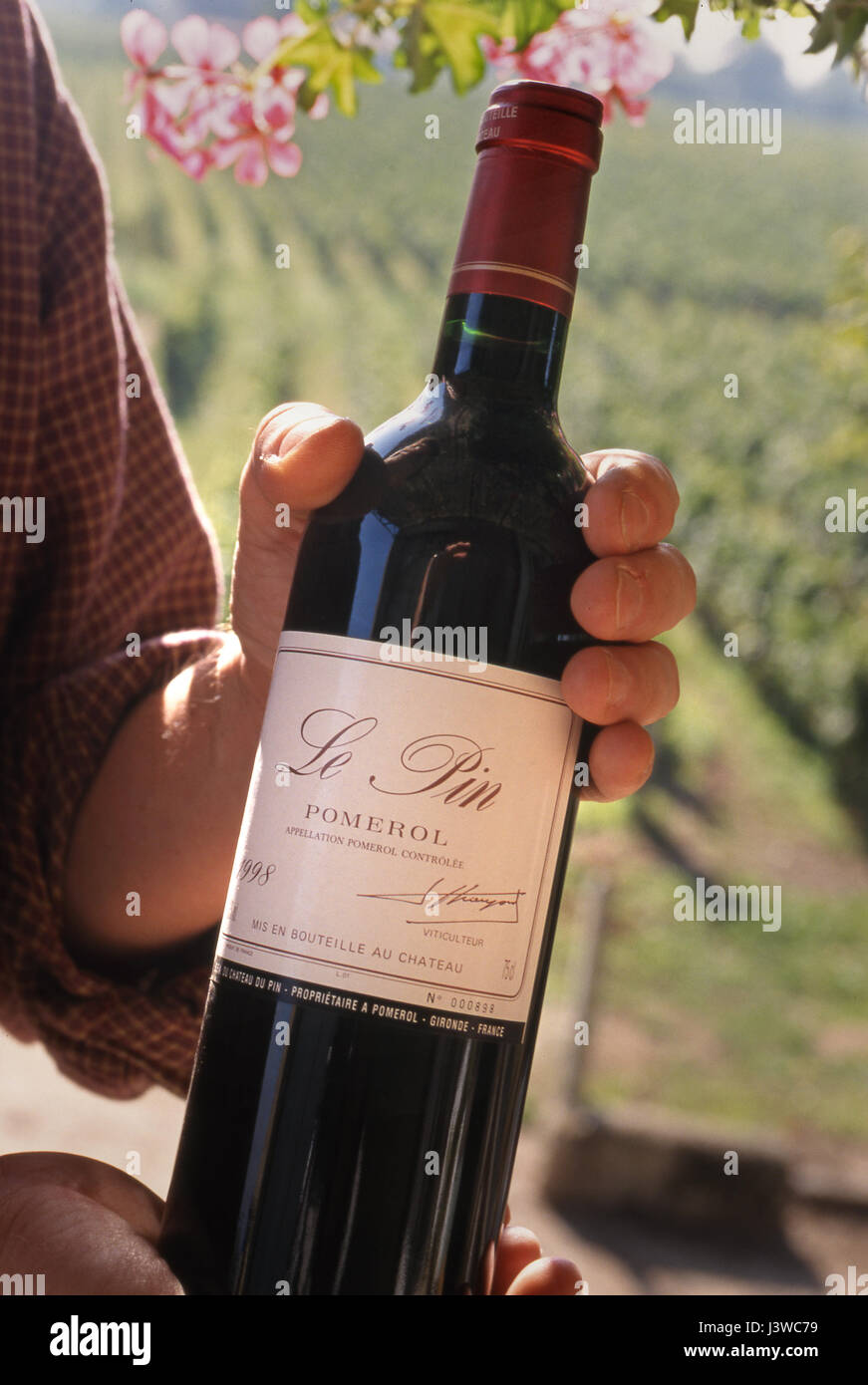 CHATEAU LE PIN Wine worker holding a bottle of luxury, fine Château Le Pin 1998, with Le Pin vineyard behind, Catusseau, Pomerol, Bordeaux, France Stock Photo